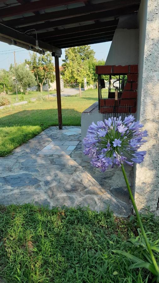Gorjelina 'S House Βίλα Βόλος Εξωτερικό φωτογραφία
